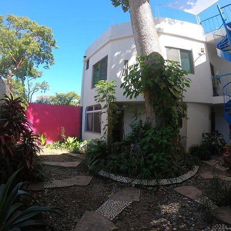 Casa Arbol De Paz Habitacion Doble Chacala  Extérieur photo