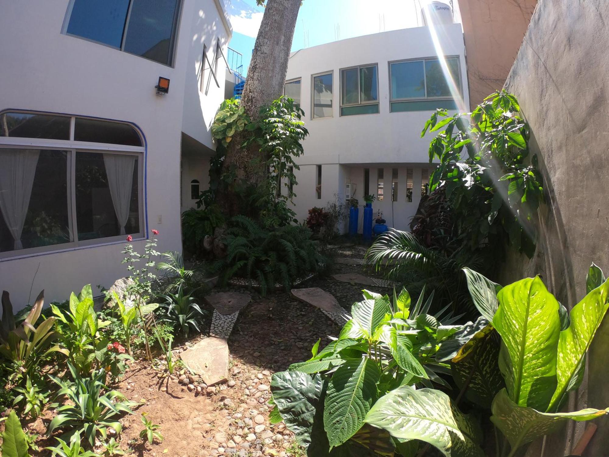 Casa Arbol De Paz Habitacion Doble Chacala  Extérieur photo