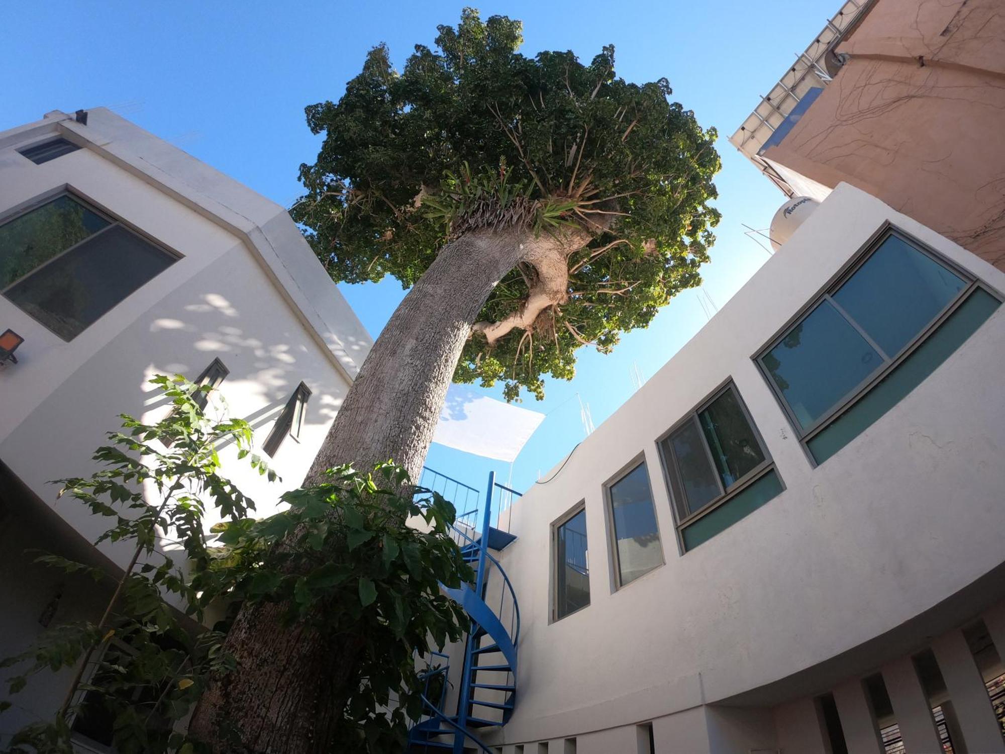 Casa Arbol De Paz Habitacion Doble Chacala  Extérieur photo